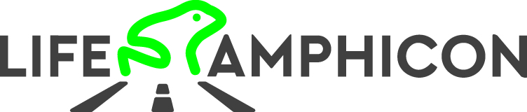 logo 4 Life_Amphicon.jpg